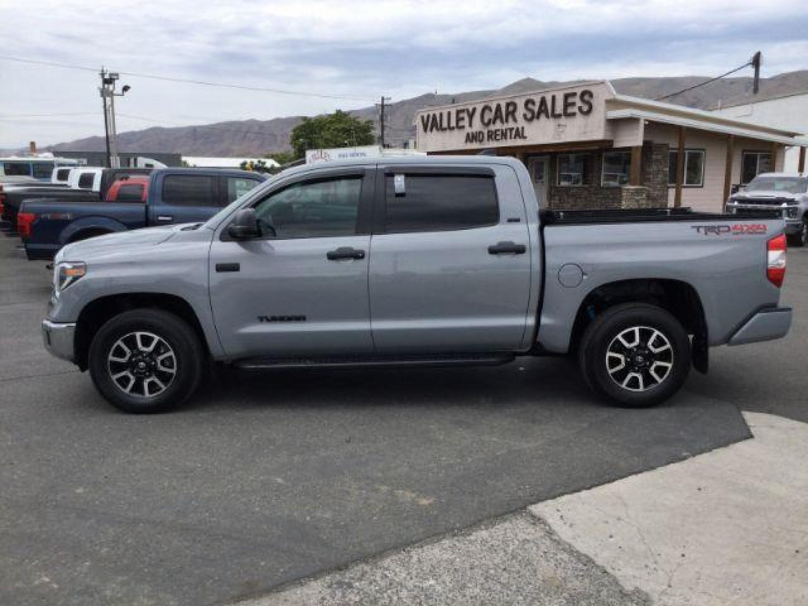 2020 Cement /Black, leather Toyota Tundra SR5 5.7L V8 CrewMax 4WD (5TFDY5F17LX) with an 5.7L V8 DOHC 32V engine, 6-Speed Automatic transmission, located at 1801 Main Street, Lewiston, 83501, (208) 743-9371, 46.417065, -117.004799 - Photo #1