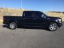 2017 Shadow Black /Black, premium leather Ford F-150 Platinum SuperCrew 6.5-ft. Bed 4WD (1FTFW1EG7HF) with an 3.5 V6 engine, 6-Speed Automatic transmission, located at 1801 Main Street, Lewiston, 83501, (208) 743-9371, 46.417065, -117.004799- Photo#20