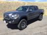 2019 Toyota Tacoma SR5 Double Cab Long Bed V6 6AT 4WD (5TFCZ5AN2KX) with an 3.5L V6 DOHC 24V engine, 6-Speed Automatic transmission, located at 1801 Main Street, Lewiston, 83501, (208) 743-9371, 46.417065, -117.004799 - Photo#0