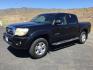 2010 Black Sand Pearl /Sand Beige Toyota Tacoma PreRunner V6 (3TMJU4GN1AM) with an 4L V-6 DOHC engine, 5-Speed Automatic transmission, located at 1801 Main Street, Lewiston, 83501, (208) 743-9371, 46.417065, -117.004799 - Photo#0
