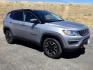 2020 Billet Silver Metallic Clearcoat /Ruby Red/Black Jeep Compass Trailhawk 4X4 (3C4NJDDB2LT) with an 2.4L I-4 variable valve control engine, 9 Speed Automatic transmission, located at 1801 Main Street, Lewiston, 83501, (208) 743-9371, 46.417065, -117.004799 - Photo#0
