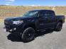 2017 Black /Cement Gray Toyota Tacoma SR5 V6 Crew Cab 4x4 (3TMCZ5AN4HM) with an 3.5L V-6 port/direct injection engine, 6-Speed Automatic transmission, located at 1801 Main Street, Lewiston, 83501, (208) 743-9371, 46.417065, -117.004799 - Photo#3