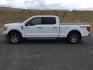 2023 Oxford White /Black w/Medium Dark Slate Ford F-150 SuperCrew Cab XLT Pickup 4D 6 1/2 ft (1FTFW1E52PK) with an V8, Flex Fuel, 5.0 Liter engine, 10-speed automatic transmission, located at 1801 Main Street, Lewiston, 83501, (208) 743-9371, 46.417065, -117.004799 - Photo#1