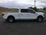 2023 Oxford White /Black w/Medium Dark Slate Ford F-150 SuperCrew Cab XLT Pickup 4D 6 1/2 ft (1FTFW1E52PK) with an V8, Flex Fuel, 5.0 Liter engine, 10-speed automatic transmission, located at 1801 Main Street, Lewiston, 83501, (208) 743-9371, 46.417065, -117.004799 - Photo#11