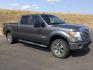 2012 Sterling Gray Metallic /Steel Gray Ford F-150 XLT (1FTFW1ET4CF) with an EcoBoost 3.5L V-6 gasoline direct injection engine, 6-Speed Automatic transmission, located at 1801 Main Street, Lewiston, 83501, (208) 743-9371, 46.417065, -117.004799 - Photo#0