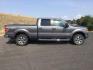 2012 Sterling Gray Metallic /Steel Gray Ford F-150 XLT (1FTFW1ET4CF) with an EcoBoost 3.5L V-6 gasoline direct injection engine, 6-Speed Automatic transmission, located at 1801 Main Street, Lewiston, 83501, (208) 743-9371, 46.417065, -117.004799 - Photo#1