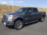 2012 Sterling Gray Metallic /Steel Gray Ford F-150 XLT (1FTFW1ET4CF) with an EcoBoost 3.5L V-6 gasoline direct injection engine, 6-Speed Automatic transmission, located at 1801 Main Street, Lewiston, 83501, (208) 743-9371, 46.417065, -117.004799 - Photo#3