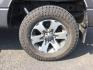 2012 Sterling Gray Metallic /Steel Gray Ford F-150 XLT (1FTFW1ET4CF) with an EcoBoost 3.5L V-6 gasoline direct injection engine, 6-Speed Automatic transmission, located at 1801 Main Street, Lewiston, 83501, (208) 743-9371, 46.417065, -117.004799 - Photo#11