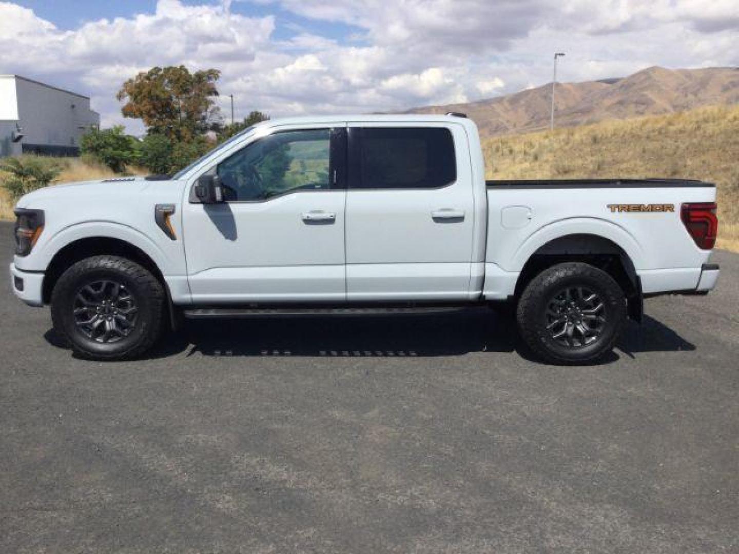 2024 Avalanche /Black Sport Cloth Ford F-150 Tremor (1FTFW4L86RF) with an 3.5L V6 Ecoboost engine engine, 10 speed automatic transmission, located at 1801 Main Street, Lewiston, 83501, (208) 743-9371, 46.417065, -117.004799 - Photo#1