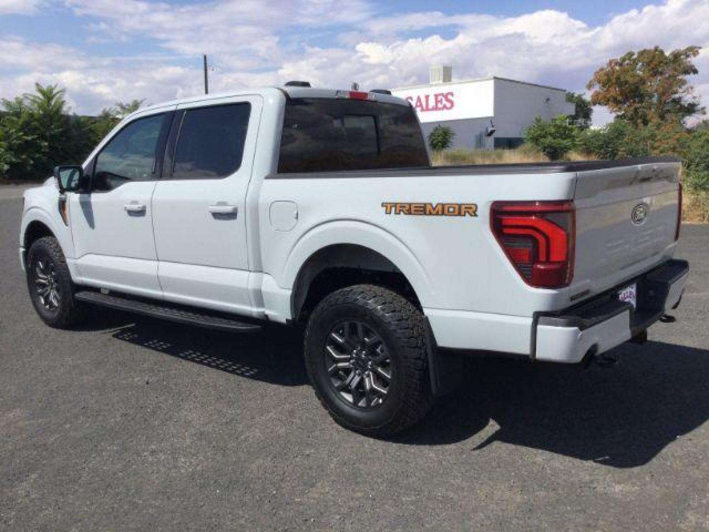 2024 Avalanche /Black Sport Cloth Ford F-150 Tremor (1FTFW4L86RF) with an 3.5L V6 Ecoboost engine engine, 10 speed automatic transmission, located at 1801 Main Street, Lewiston, 83501, (208) 743-9371, 46.417065, -117.004799 - Photo#2