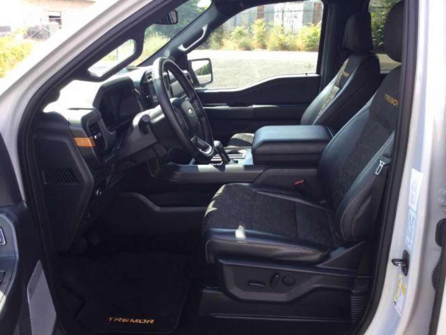 2024 Avalanche /Black Sport Cloth Ford F-150 Tremor (1FTFW4L86RF) with an 3.5L V6 Ecoboost engine engine, 10 speed automatic transmission, located at 1801 Main Street, Lewiston, 83501, (208) 743-9371, 46.417065, -117.004799 - Photo#4