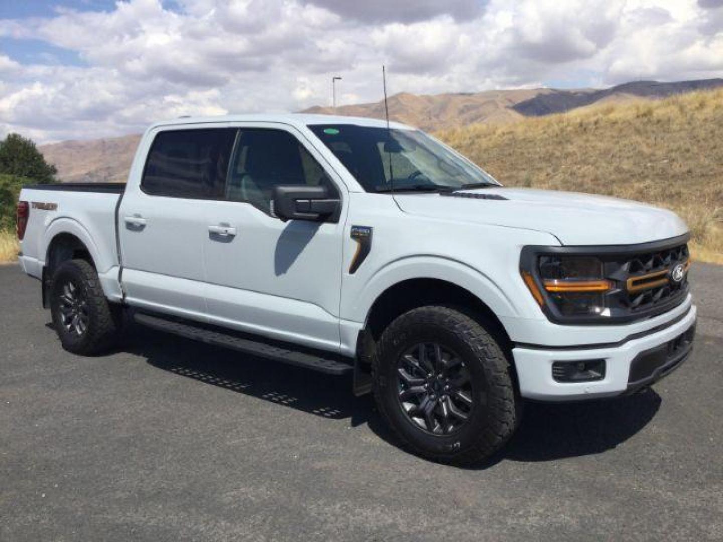 2024 Avalanche /Black Sport Cloth Ford F-150 Tremor (1FTFW4L86RF) with an 3.5L V6 Ecoboost engine engine, 10 speed automatic transmission, located at 1801 Main Street, Lewiston, 83501, (208) 743-9371, 46.417065, -117.004799 - Photo#8