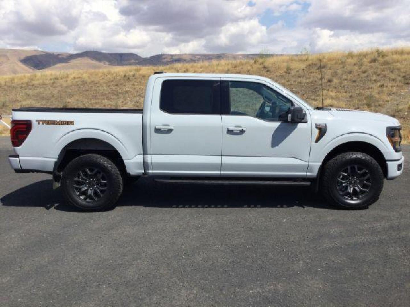 2024 Avalanche /Black Sport Cloth Ford F-150 Tremor (1FTFW4L86RF) with an 3.5L V6 Ecoboost engine engine, 10 speed automatic transmission, located at 1801 Main Street, Lewiston, 83501, (208) 743-9371, 46.417065, -117.004799 - Photo#9