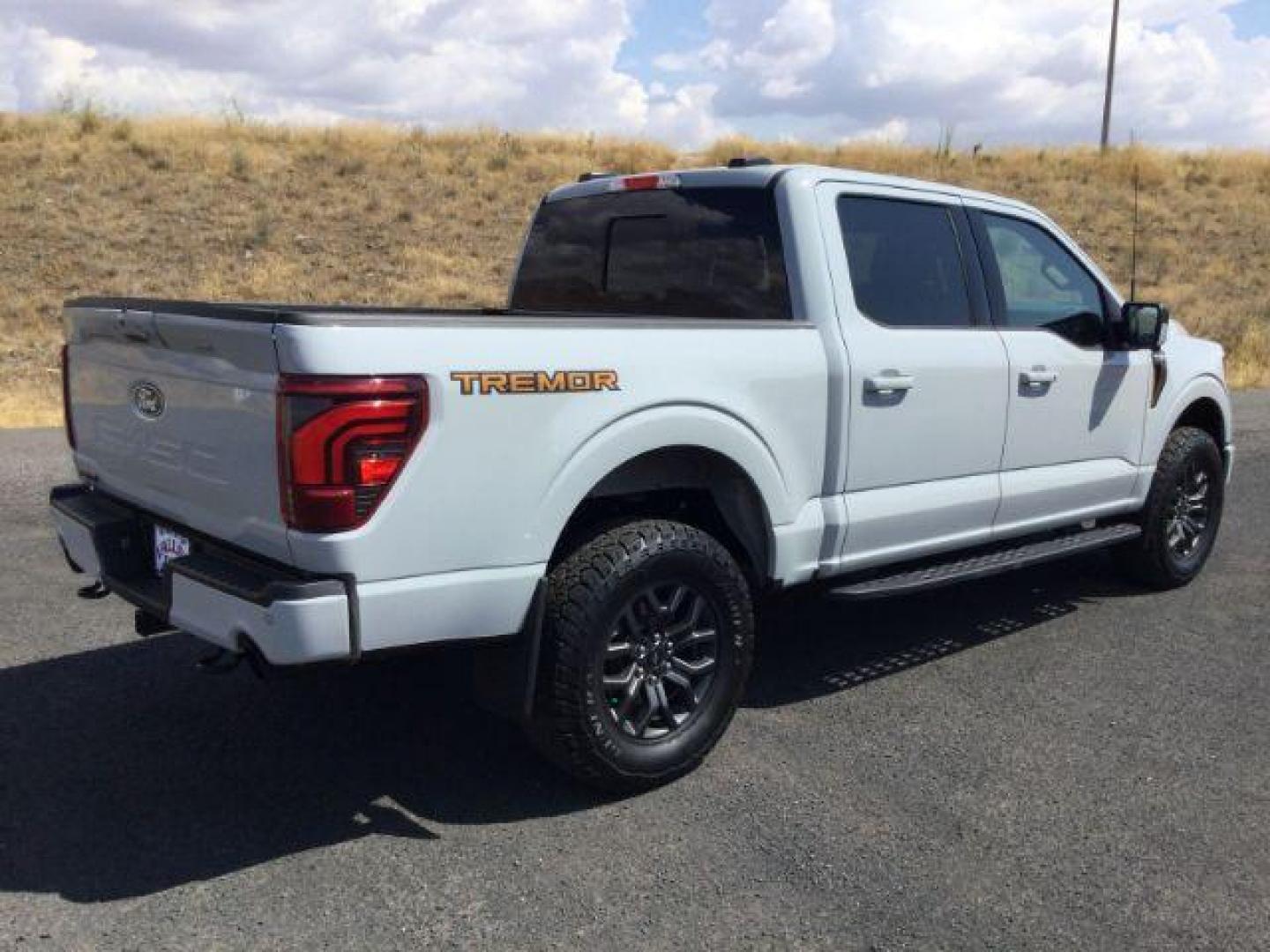 2024 Avalanche /Black Sport Cloth Ford F-150 Tremor (1FTFW4L86RF) with an 3.5L V6 Ecoboost engine engine, 10 speed automatic transmission, located at 1801 Main Street, Lewiston, 83501, (208) 743-9371, 46.417065, -117.004799 - Photo#12