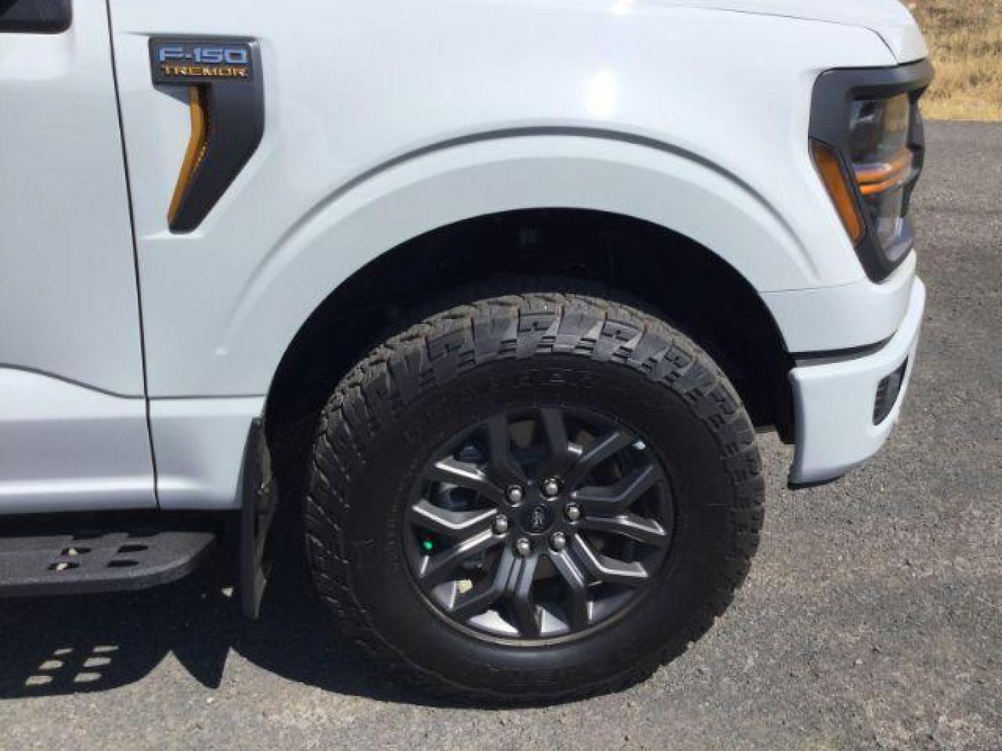2024 Avalanche /Black Sport Cloth Ford F-150 Tremor (1FTFW4L86RF) with an 3.5L V6 Ecoboost engine engine, 10 speed automatic transmission, located at 1801 Main Street, Lewiston, 83501, (208) 743-9371, 46.417065, -117.004799 - Photo#17