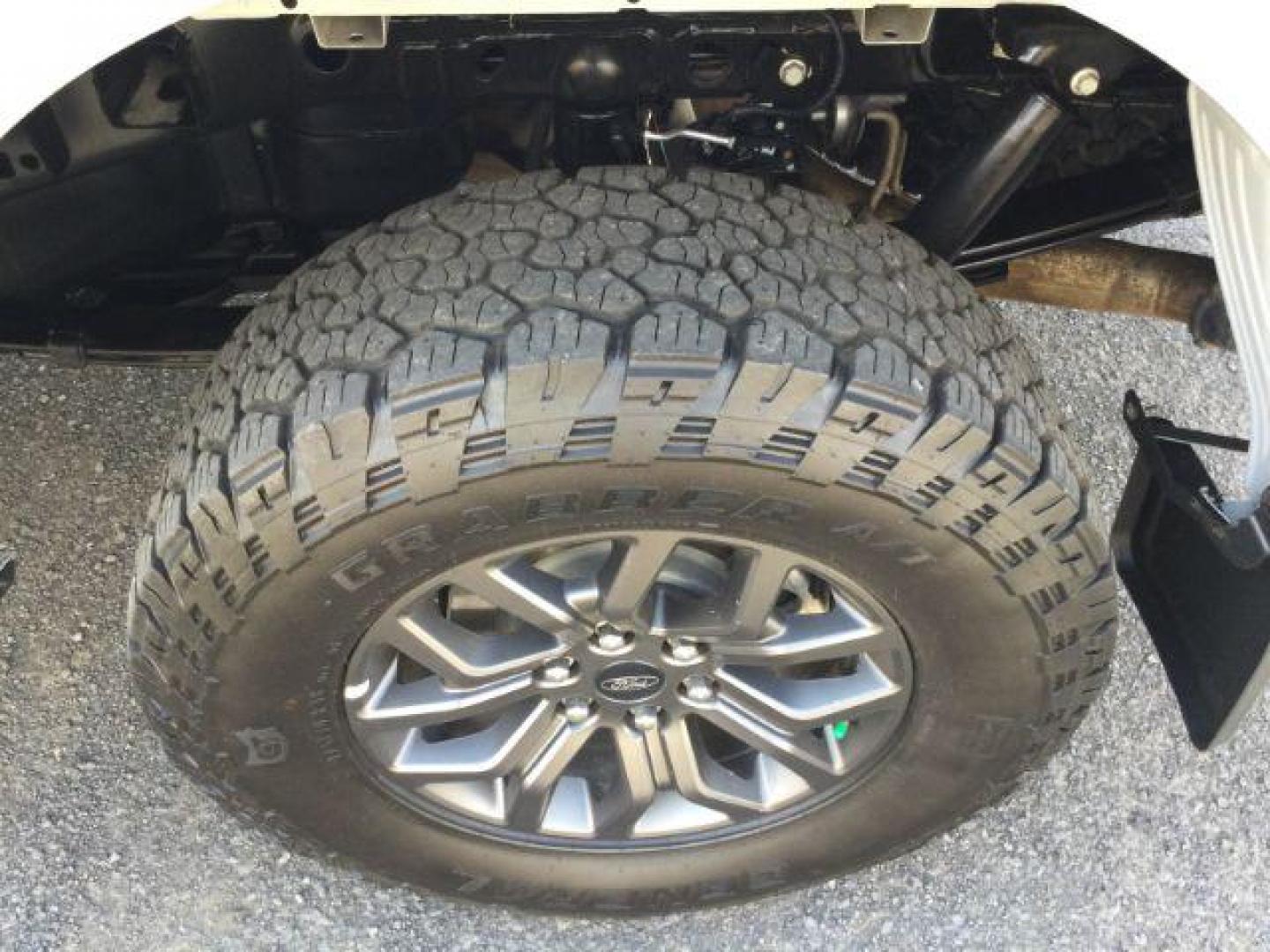 2024 Avalanche /Black Sport Cloth Ford F-150 Tremor (1FTFW4L86RF) with an 3.5L V6 Ecoboost engine engine, 10 speed automatic transmission, located at 1801 Main Street, Lewiston, 83501, (208) 743-9371, 46.417065, -117.004799 - Photo#18