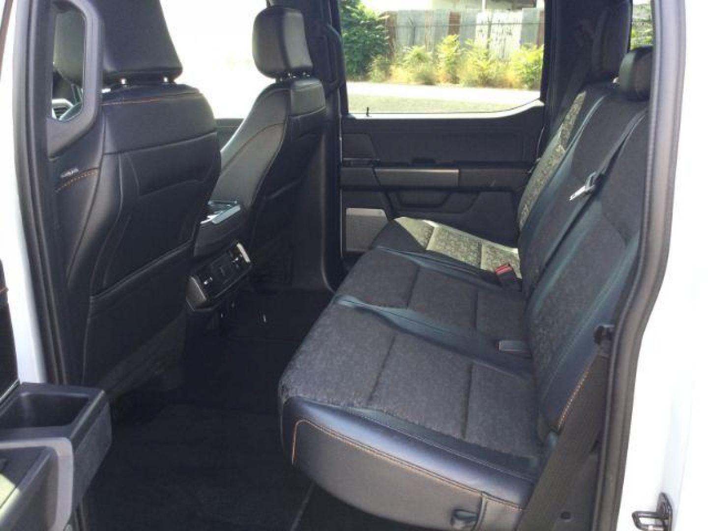 2024 Avalanche /Black Sport Cloth Ford F-150 Tremor (1FTFW4L86RF) with an 3.5L V6 Ecoboost engine engine, 10 speed automatic transmission, located at 1801 Main Street, Lewiston, 83501, (208) 743-9371, 46.417065, -117.004799 - Photo#19