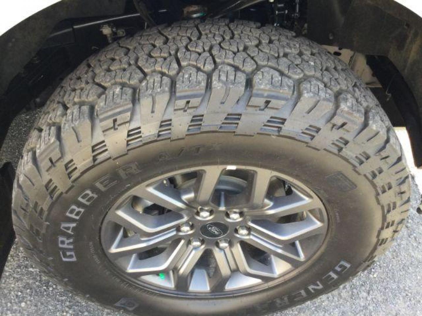 2024 Avalanche /Black Sport Cloth Ford F-150 Tremor (1FTFW4L86RF) with an 3.5L V6 Ecoboost engine engine, 10 speed automatic transmission, located at 1801 Main Street, Lewiston, 83501, (208) 743-9371, 46.417065, -117.004799 - Photo#23