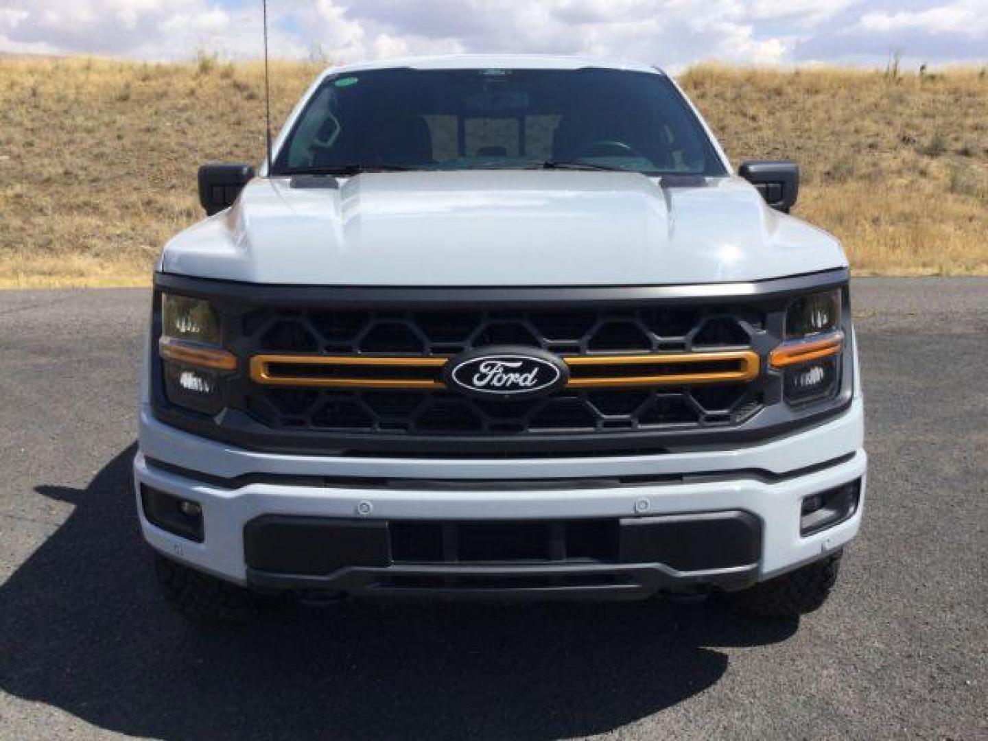 2024 Avalanche /Black Sport Cloth Ford F-150 Tremor (1FTFW4L86RF) with an 3.5L V6 Ecoboost engine engine, 10 speed automatic transmission, located at 1801 Main Street, Lewiston, 83501, (208) 743-9371, 46.417065, -117.004799 - Photo#24