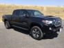 2017 Black /Graphite w/Gun Metal Toyota Tacoma Crew Cab TRD Sport Long Bed (5TFDZ5BN8HX) with an 3.5L V-6 port/direct injection engine, 6-Speed Automatic transmission, located at 1801 Main Street, Lewiston, 83501, (208) 743-9371, 46.417065, -117.004799 - Photo#16
