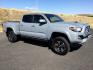 2019 Cement /Graphite w/Gun Metal Toyota Tacoma Crew Cab TRD Sport Long Bed (5TFDZ5BN1KX) with an 3.5L V-6 port/direct injection engine, 6-Speed Automatic transmission, located at 1801 Main Street, Lewiston, 83501, (208) 743-9371, 46.417065, -117.004799 - Photo#0