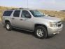 2007 Silver Birch Metallic /Light Titanium/Dark Titanium Chevrolet Suburban 1500 LS (3GNFK163X7G) with an 5.3L V8 engine, 4 speed Automatic transmission, located at 1801 Main Street, Lewiston, 83501, (208) 743-9371, 46.417065, -117.004799 - Photo#7
