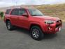2015 Barcelona Red Metallic /Black Toyota 4Runner SR5 (JTEBU5JR8F5) with an 4L V-6 DOHC engine, 6-Speed Automatic transmission, located at 1801 Main Street, Lewiston, 83501, (208) 743-9371, 46.417065, -117.004799 - Photo#3