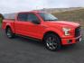 2016 Race Red /Black Ford F 150 Crew Cab 4x4 XLT (1FTEW1EG9GK) with an EcoBoost 3.5L V-6 gasoline direct injection engine, 6-Speed Automatic transmission, located at 1801 Main Street, Lewiston, 83501, (208) 743-9371, 46.417065, -117.004799 - Photo#0
