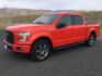 2016 Race Red /Black Ford F 150 Crew Cab 4x4 XLT (1FTEW1EG9GK) with an EcoBoost 3.5L V-6 gasoline direct injection engine, 6-Speed Automatic transmission, located at 1801 Main Street, Lewiston, 83501, (208) 743-9371, 46.417065, -117.004799 - Photo#1