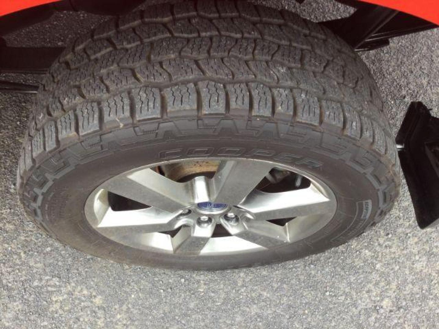 2016 Race Red /Black Ford F 150 Crew Cab 4x4 XLT (1FTEW1EG9GK) with an EcoBoost 3.5L V-6 gasoline direct injection engine, 6-Speed Automatic transmission, located at 1801 Main Street, Lewiston, 83501, (208) 743-9371, 46.417065, -117.004799 - Photo#20