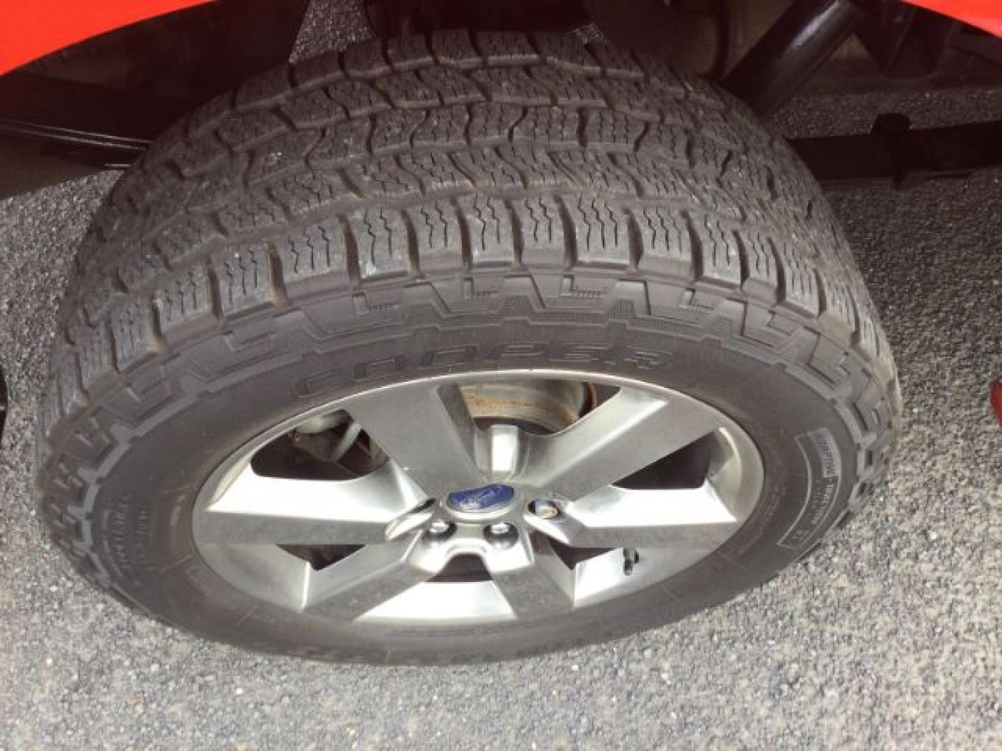 2016 Race Red /Black Ford F 150 Crew Cab 4x4 XLT (1FTEW1EG9GK) with an EcoBoost 3.5L V-6 gasoline direct injection engine, 6-Speed Automatic transmission, located at 1801 Main Street, Lewiston, 83501, (208) 743-9371, 46.417065, -117.004799- Photo#12