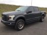 2017 Lithium Gray /Black Ford F-150 XL SuperCrew 4WD (1FTEW1EF6HK) with an 5.0L V8 engine, 6-Speed Automatic transmission, located at 1801 Main Street, Lewiston, 83501, (208) 743-9371, 46.417065, -117.004799 - Photo#0