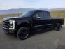2024 Agate Black Metallic /Medium Dark Slate Ford F-350 Crew Cab STX Long Bed 4WD (1FT8W3BT8RE) with an Powerstroke 6.7L V-8 diesel direct injection engine, 10-speed automatic transmission, located at 1801 Main Street, Lewiston, 83501, (208) 743-9371, 46.417065, -117.004799 - Photo#21
