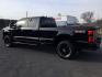 2024 Agate Black Metallic /Medium Dark Slate Ford F-350 Crew Cab STX Long Bed 4WD (1FT8W3BT8RE) with an Powerstroke 6.7L V-8 diesel direct injection engine, 10-speed automatic transmission, located at 1801 Main Street, Lewiston, 83501, (208) 743-9371, 46.417065, -117.004799 - Photo#23