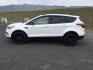 2019 White Platinum Metallic Tri-Coat /Medium Light Stone Ford Escape Titanium (1FMCU9J95KU) with an EcoBoost 2L I-4 gasoline direct injection engine, 6-Speed Automatic transmission, located at 1801 Main Street, Lewiston, 83501, (208) 743-9371, 46.417065, -117.004799 - Photo#1
