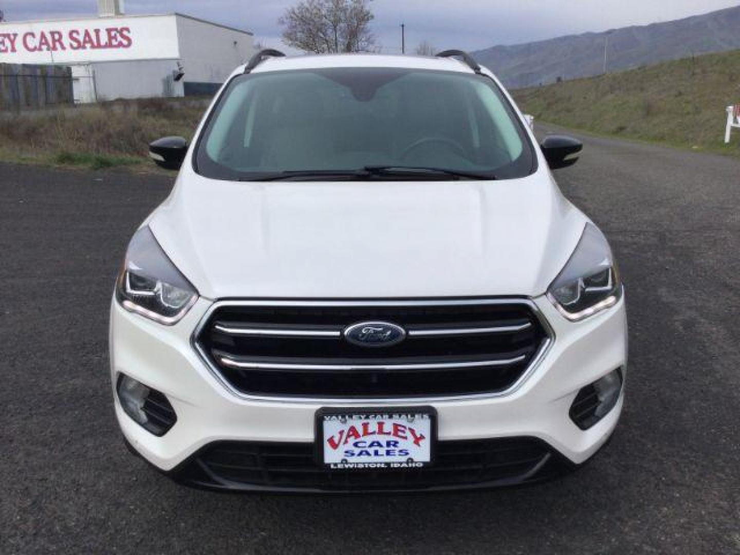 2019 White Platinum Metallic Tri-Coat /Medium Light Stone Ford Escape Titanium (1FMCU9J95KU) with an EcoBoost 2L I-4 gasoline direct injection engine, 6-Speed Automatic transmission, located at 1801 Main Street, Lewiston, 83501, (208) 743-9371, 46.417065, -117.004799 - Photo#6