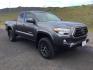 2022 Magnetic Gray Metallic /Cement Toyota Tacoma SR5 V6 (3TYSZ5AN9NT) with an 3.5L V-6 port/direct injection engine, 6-Speed Automatic transmission, located at 1801 Main Street, Lewiston, 83501, (208) 743-9371, 46.417065, -117.004799 - Photo#7