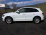 2012 Ibis White /Light Gray Audi Q5 3.2 Premium Plus (WA1DKAFP7CA) with an 3.2L V-6 gasoline direct injection engine, 6-Speed Automatic transmission, located at 1801 Main Street, Lewiston, 83501, (208) 743-9371, 46.417065, -117.004799 - Photo#5