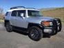 2007 Silver/White /Black Leather Toyota FJ Cruiser FJ CRUISER (JTEBU11F970) with an 4.0L V6 DOHC 24V engine, 5-Speed Automatic transmission, located at 1801 Main Street, Lewiston, 83501, (208) 743-9371, 46.417065, -117.004799 - Photo#2