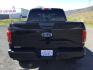 2017 Shadow Black /Black Ford F-150 LARIAT (1FTEW1EG4HK) with an EcoBoost 3.5L V-6 gasoline direct injection engine, 10-speed automatic transmission, located at 1801 Main Street, Lewiston, 83501, (208) 743-9371, 46.417065, -117.004799 - Photo#6