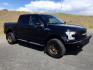 2017 Shadow Black /Black Ford F-150 LARIAT (1FTEW1EG4HK) with an EcoBoost 3.5L V-6 gasoline direct injection engine, 10-speed automatic transmission, located at 1801 Main Street, Lewiston, 83501, (208) 743-9371, 46.417065, -117.004799 - Photo#17