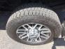 2019 Agate Black /Medium Earth Gray Ford F-350 XLT Crew Cab 4WD (1FT8W3BT1KE) with an Powerstroke 6.7L V-8 diesel direct injection engine, 6-SPEED AUTOMATIC transmission, located at 1801 Main Street, Lewiston, 83501, (208) 743-9371, 46.417065, -117.004799 - Photo#12