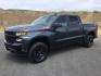 2019 Shadow Gray Metallic /Jet Black Chevrolet Silverado 1500 Custom Trail Boss (1GCPYCEF7KZ) with an EcoTec3 5.3L V-8 gasoline direct injection engine, 8-Speed Automatic transmission, located at 1801 Main Street, Lewiston, 83501, (208) 743-9371, 46.417065, -117.004799 - Photo#0