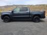 2019 Shadow Gray Metallic /Jet Black Chevrolet Silverado 1500 Custom Trail Boss (1GCPYCEF7KZ) with an EcoTec3 5.3L V-8 gasoline direct injection engine, 8-Speed Automatic transmission, located at 1801 Main Street, Lewiston, 83501, (208) 743-9371, 46.417065, -117.004799 - Photo#2