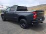 2019 Shadow Gray Metallic /Jet Black Chevrolet Silverado 1500 Custom Trail Boss (1GCPYCEF7KZ) with an EcoTec3 5.3L V-8 gasoline direct injection engine, 8-Speed Automatic transmission, located at 1801 Main Street, Lewiston, 83501, (208) 743-9371, 46.417065, -117.004799 - Photo#7