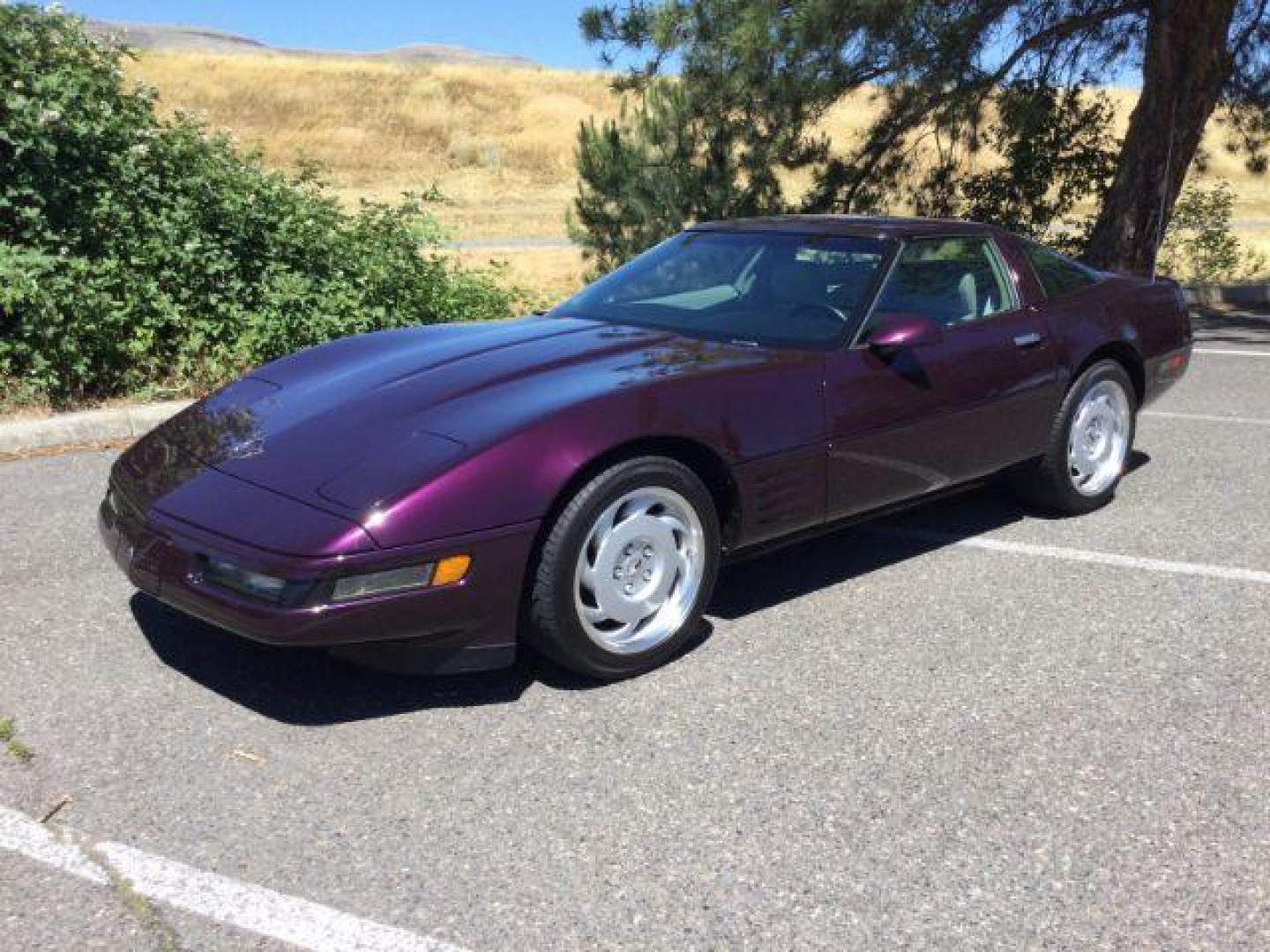 1992 BLACK ROSE METALLIC /Light Gray Leather Chevrolet Corvette LT1 2DR (1G1YY23P7N5) with an 5.7LT1 V8 engine, 6-Speed Manual transmission, located at 1801 Main Street, Lewiston, 83501, (208) 743-9371, 46.417065, -117.004799 - Photo#1