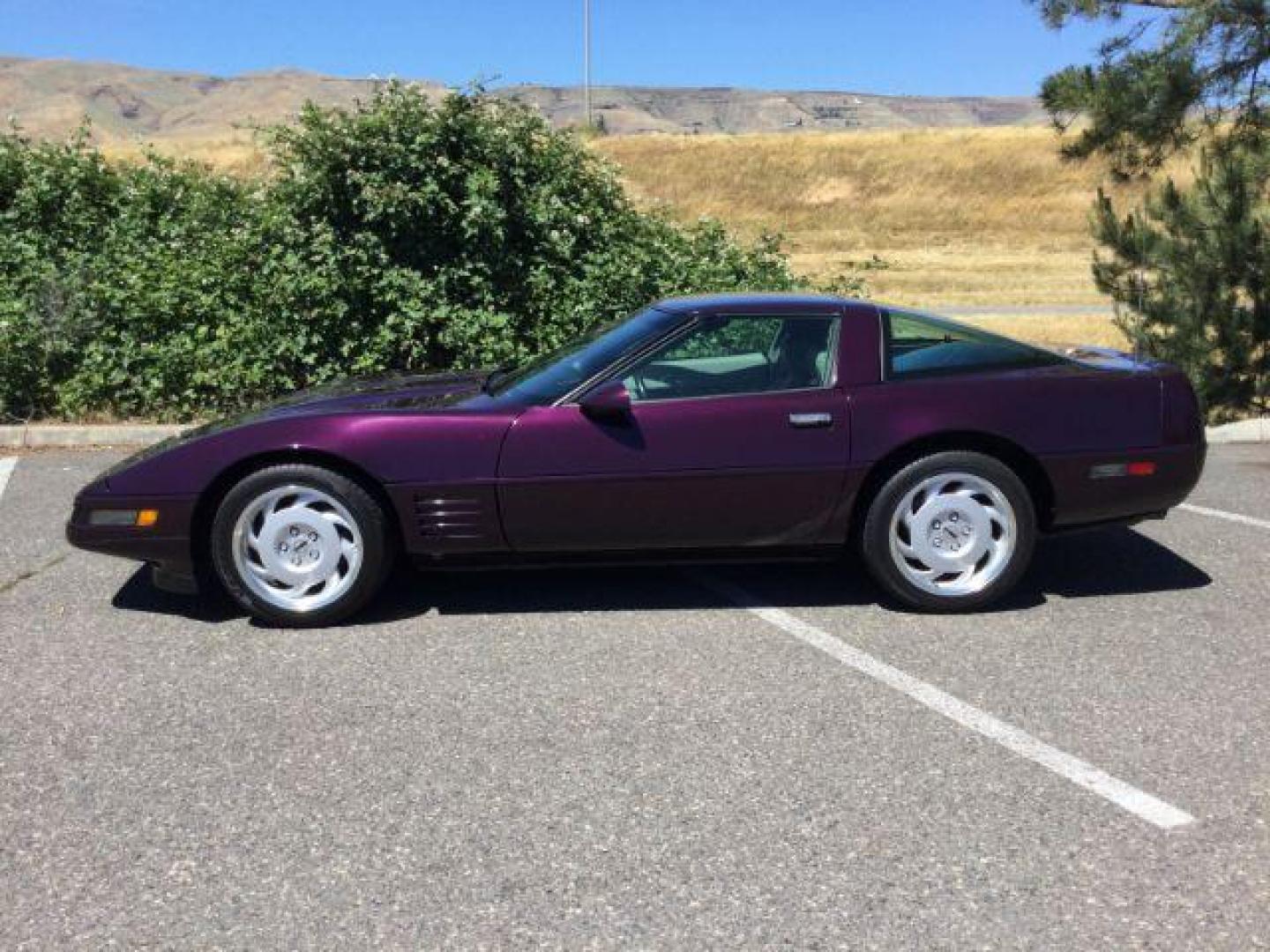 1992 BLACK ROSE METALLIC /Light Gray Leather Chevrolet Corvette LT1 2DR (1G1YY23P7N5) with an 5.7LT1 V8 engine, 6-Speed Manual transmission, located at 1801 Main Street, Lewiston, 83501, (208) 743-9371, 46.417065, -117.004799 - Photo#2