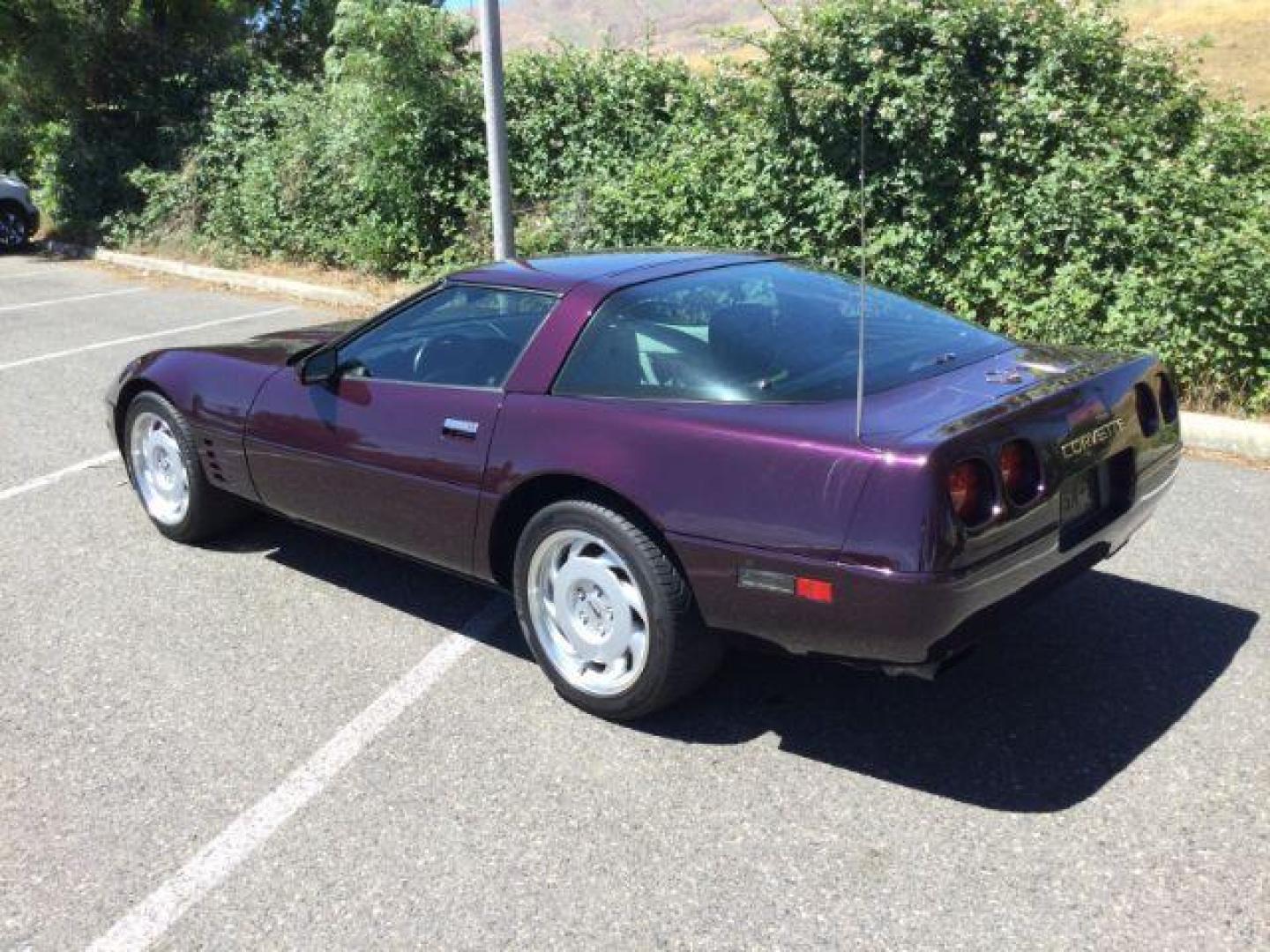 1992 BLACK ROSE METALLIC /Light Gray Leather Chevrolet Corvette LT1 2DR (1G1YY23P7N5) with an 5.7LT1 V8 engine, 6-Speed Manual transmission, located at 1801 Main Street, Lewiston, 83501, (208) 743-9371, 46.417065, -117.004799 - Photo#3