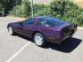 1992 BLACK ROSE METALLIC /Light Gray Leather Chevrolet Corvette LT1 2DR (1G1YY23P7N5) with an 5.7LT1 V8 engine, 6-Speed Manual transmission, located at 1801 Main Street, Lewiston, 83501, (208) 743-9371, 46.417065, -117.004799 - Photo#3
