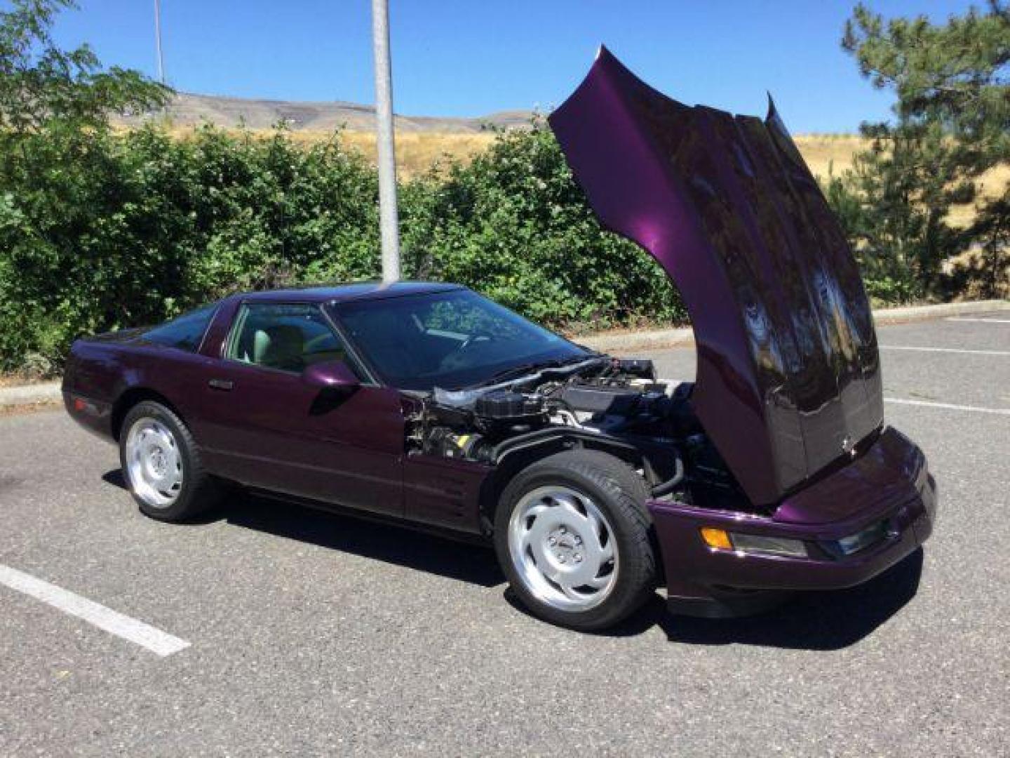 1992 BLACK ROSE METALLIC /Light Gray Leather Chevrolet Corvette LT1 2DR (1G1YY23P7N5) with an 5.7LT1 V8 engine, 6-Speed Manual transmission, located at 1801 Main Street, Lewiston, 83501, (208) 743-9371, 46.417065, -117.004799 - Photo#8